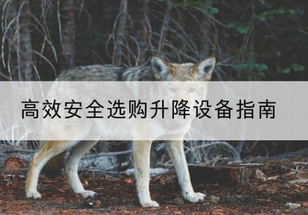 广西升降货梯厂家推荐-*安全选购升降设备指南