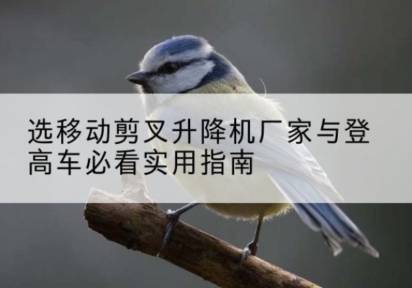 广西电动升降机厂家-选移动剪叉升降机厂家与登高车必看实用指南